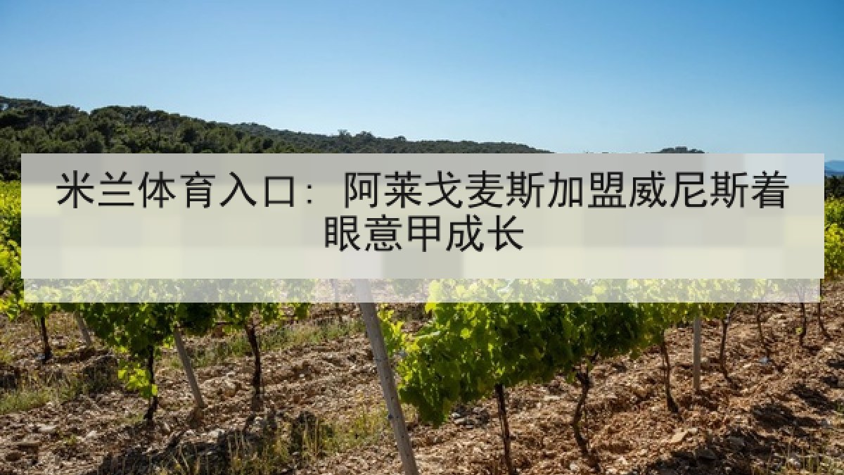 米兰体育入口: 阿莱戈麦斯加盟威尼斯着眼意甲成长