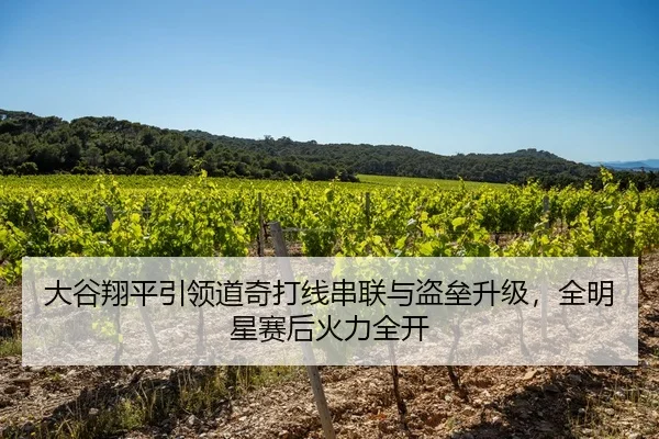 大谷翔平引领道奇打线串联与盗垒升级，全明星赛后火力全开