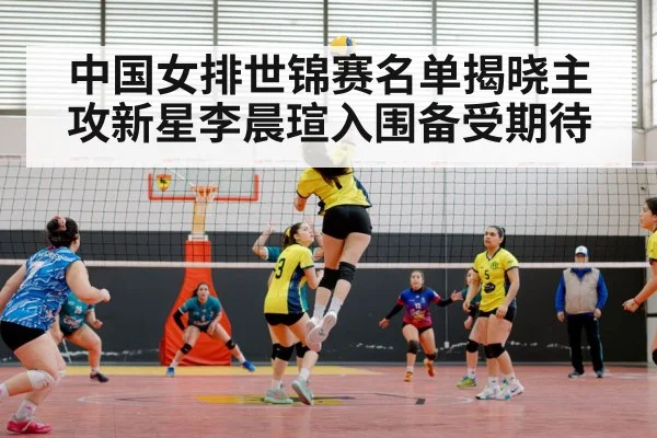 volleyball match action